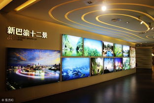 昆明金融服务公司注册中的技术开发与转让经营范围的要点解析